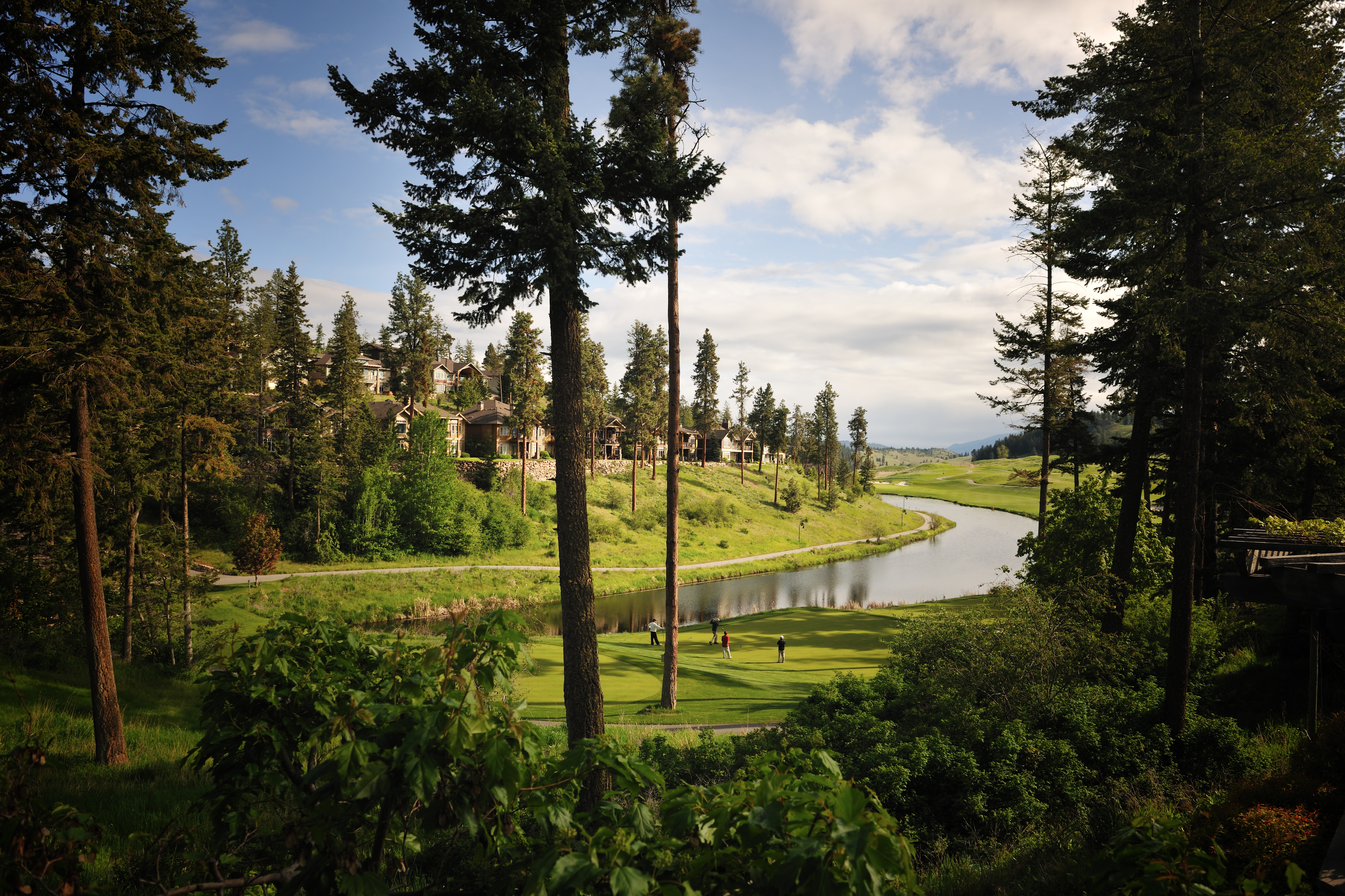 Predator Ridge Real Estate Vernon Real Estate RE/MAX Vernon Salt Fowler